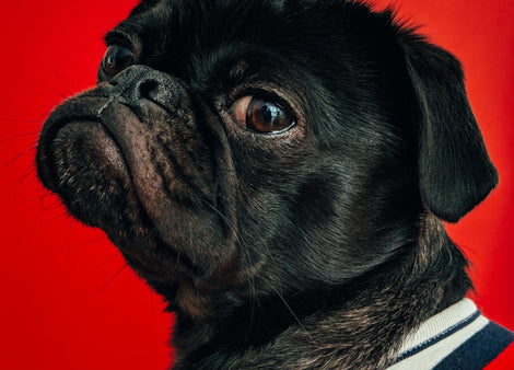 International Delivery